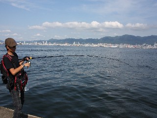 e0052088_11141379.jpg