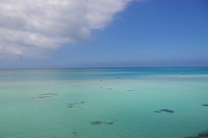 f0237689_21135183.jpg