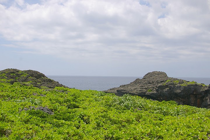 f0237689_21194430.jpg