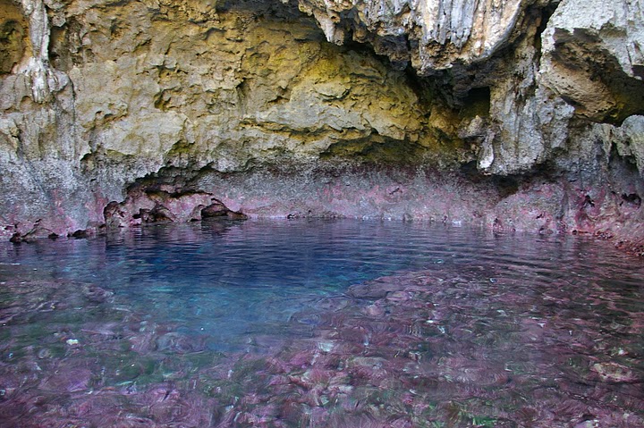 f0237689_21464872.jpg