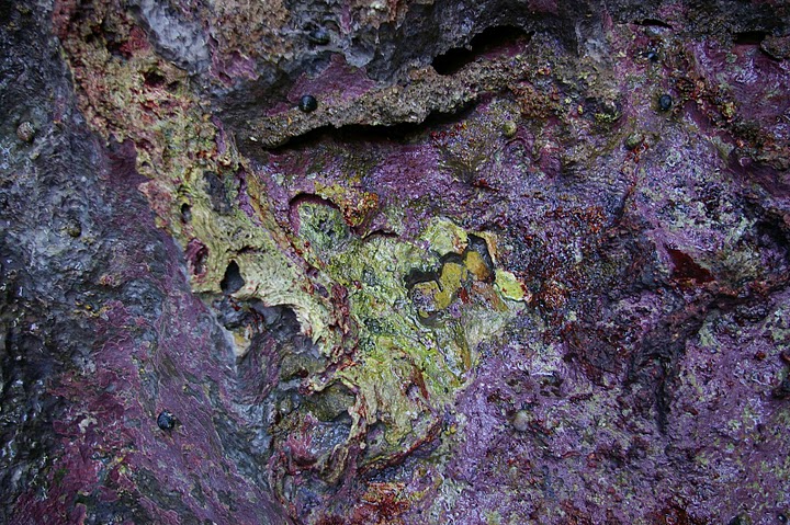 f0237689_2224935.jpg