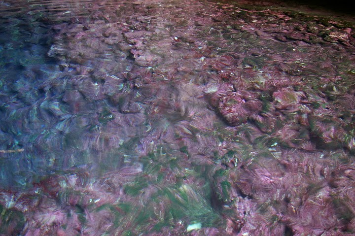f0237689_23185759.jpg