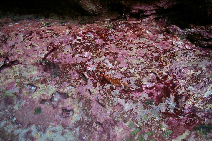 f0237689_2321014.jpg