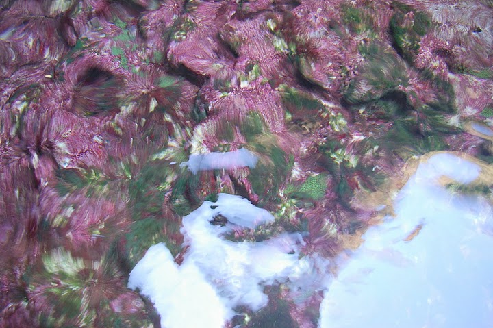 f0237689_23211698.jpg