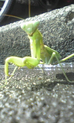 e0054290_21102425.jpg