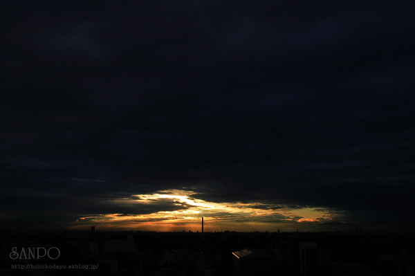d0158191_9301517.jpg