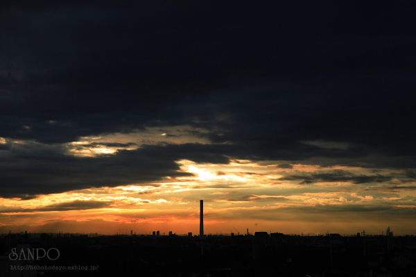 d0158191_9525060.jpg