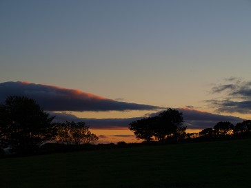 b0110999_18362490.jpg
