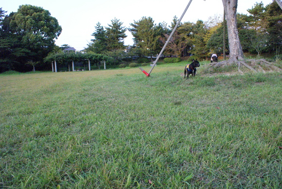 d0164100_1255187.jpg