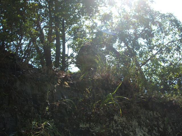 a0116205_1553189.jpg