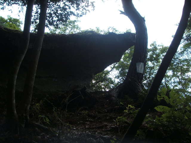 a0116205_15571241.jpg