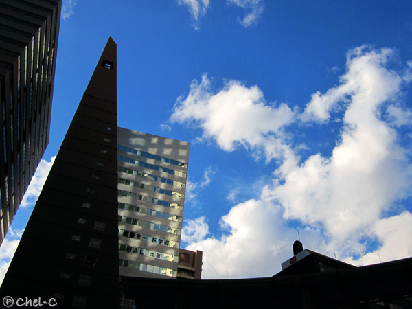 a0154706_19423697.jpg