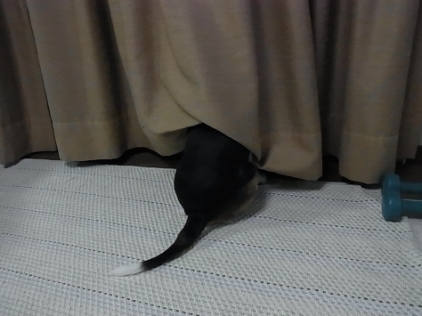 c0205806_1913813.jpg