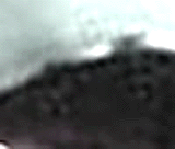 e0103408_18523125.gif