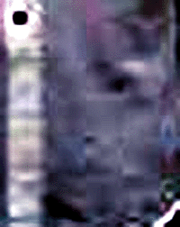 e0103408_1852531.gif