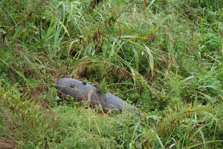 f0186509_2005962.jpg