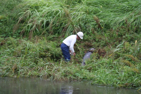 f0186509_2033234.jpg
