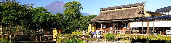 b0040710_1443415.jpg