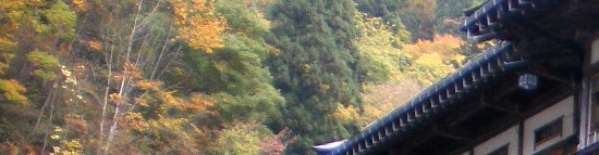 b0040710_14441020.jpg