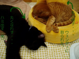 b0200310_13442013.jpg