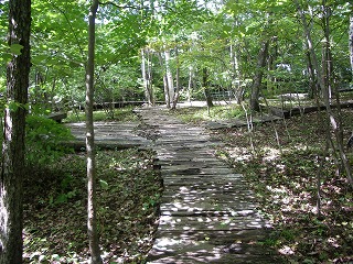 c0190010_21401758.jpg