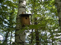 c0190010_21404826.jpg