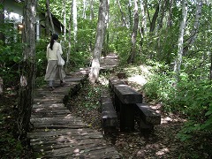 c0190010_2141221.jpg