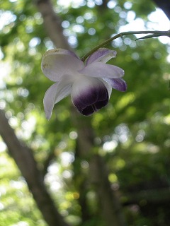 c0190010_21431147.jpg
