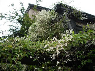 c0190010_9133741.jpg