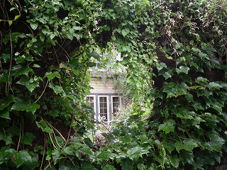 c0190010_973457.jpg