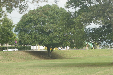 a0029812_1355097.jpg