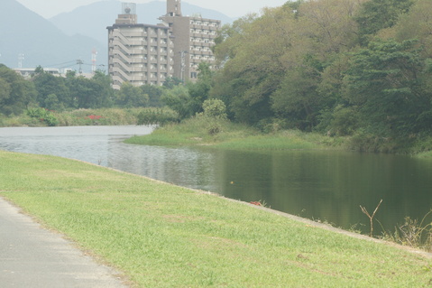 a0029812_13948.jpg