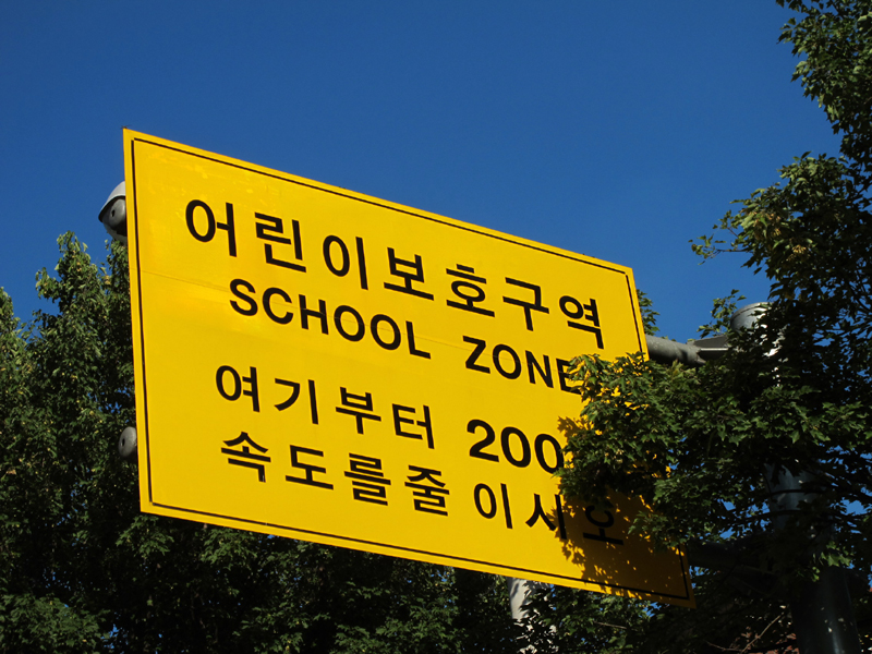 a0101715_1013825.jpg