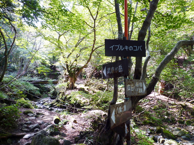 d0170615_1002761.jpg