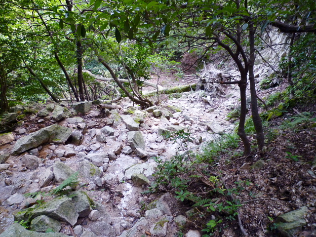 d0170615_1015821.jpg