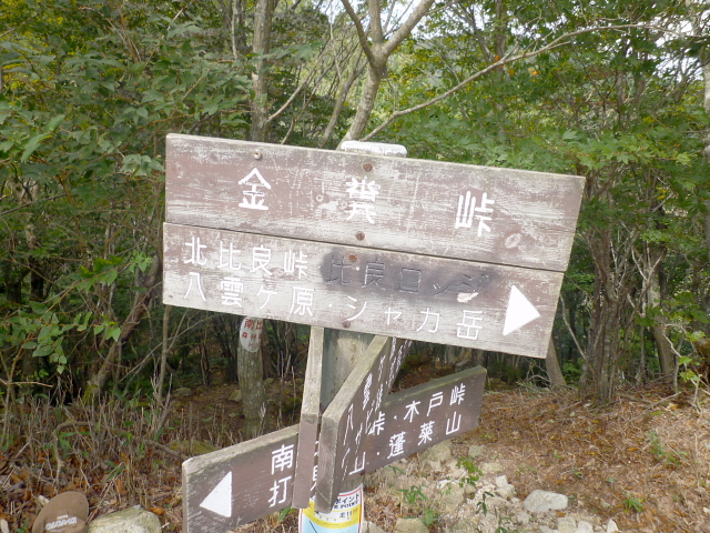 d0170615_956151.jpg