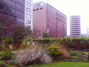 d0171219_18305797.jpg