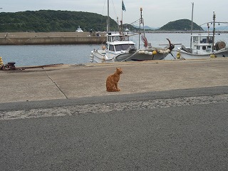 b0008825_1414441.jpg