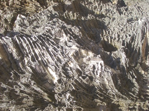 f0197325_11134364.jpg