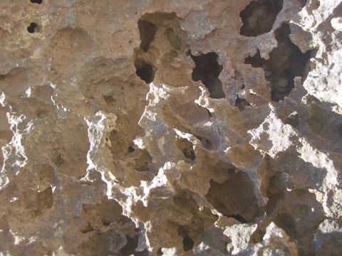 f0197325_111546100.jpg