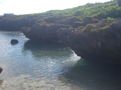 f0197325_116268.jpg