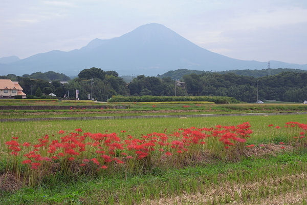 f0007926_1034259.jpg