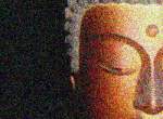 a0144027_131233.jpg
