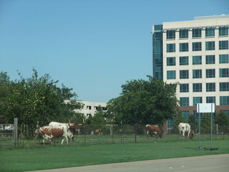 f0238932_11272860.jpg