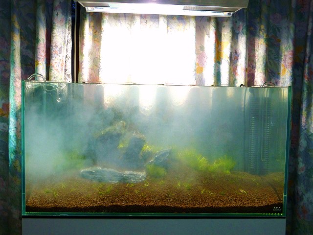 a0121134_16354723.jpg
