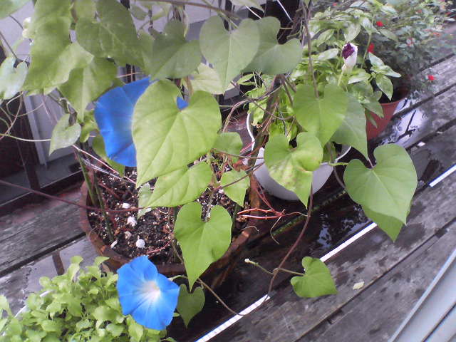 f0237037_12534059.jpg