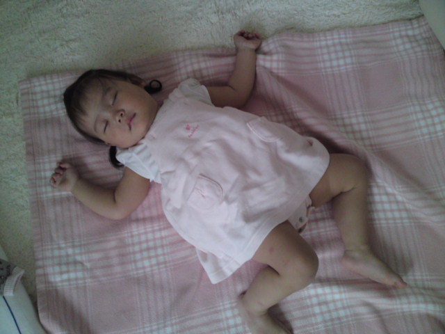 c0150438_82276.jpg