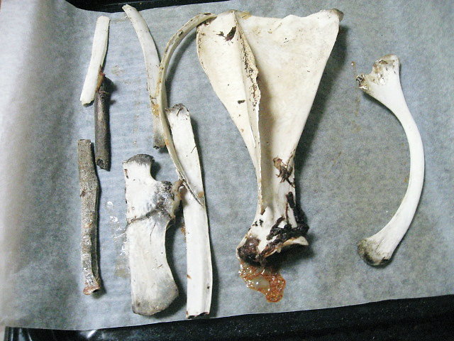 a0149240_8481986.jpg