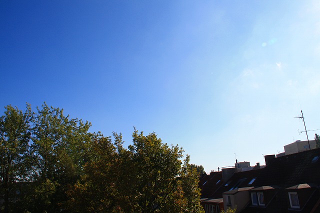 c0153740_4124710.jpg