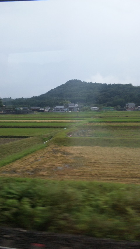a0164341_1331690.jpg